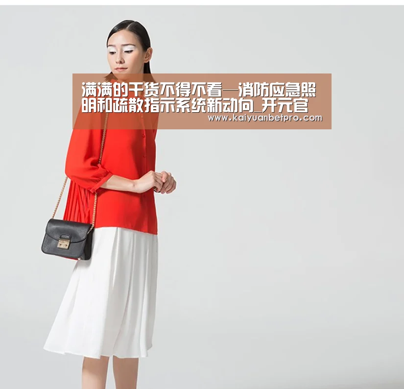 满满的干货不得不看—消防应急照明和疏散指示系统新动向_开元官网